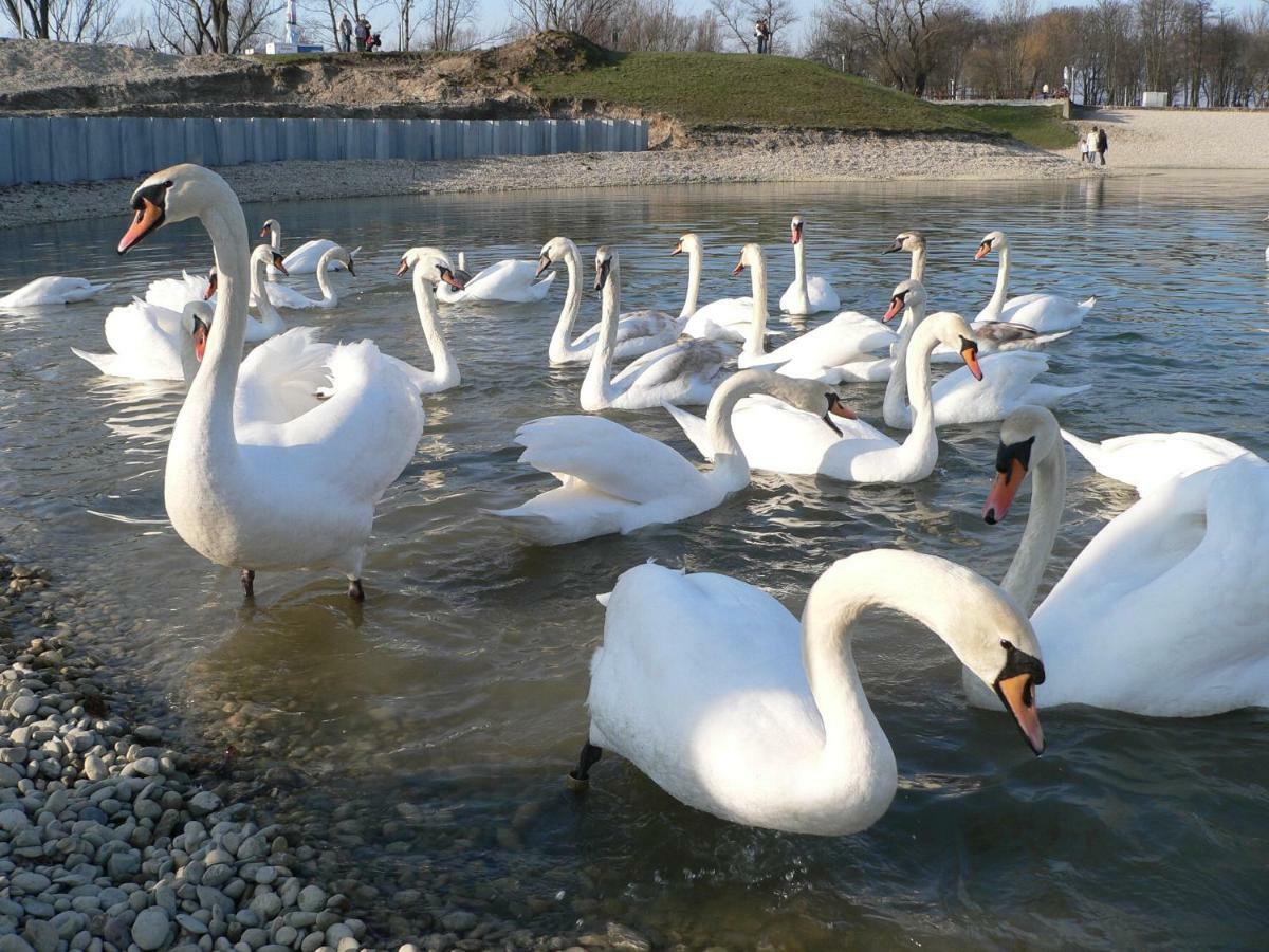 Calla Apartment Zagreb - Novi Apartman, Garaza, Video Nadzor Esterno foto